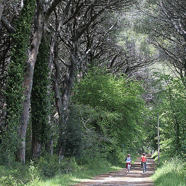 Cicloturismo a Follonica