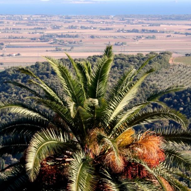 Follonica & Dintorni